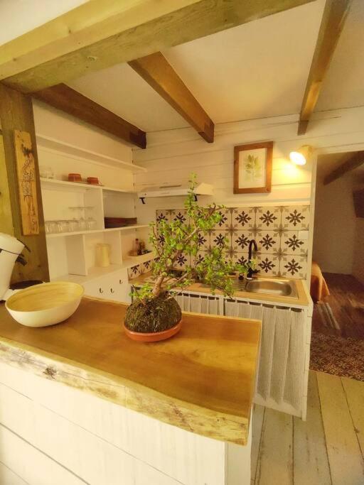 Ferienwohnung La Guillaumette Saint-Paul Exterior foto